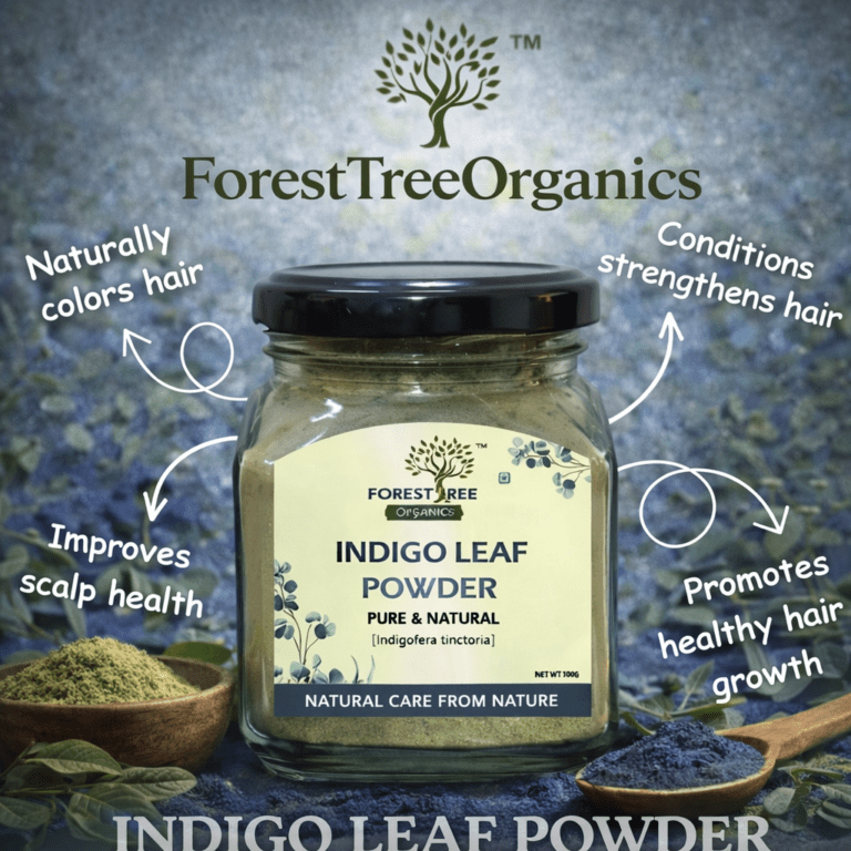 chatgpt image jan 11, 2026, 12 01 29 am