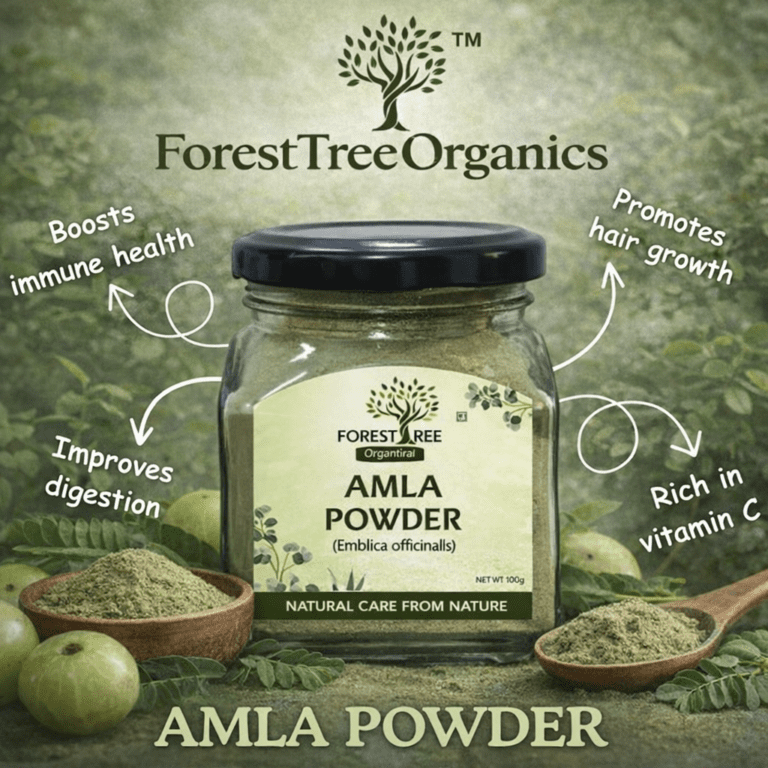 chatgpt image jan 11, 2026, 12 08 20 am